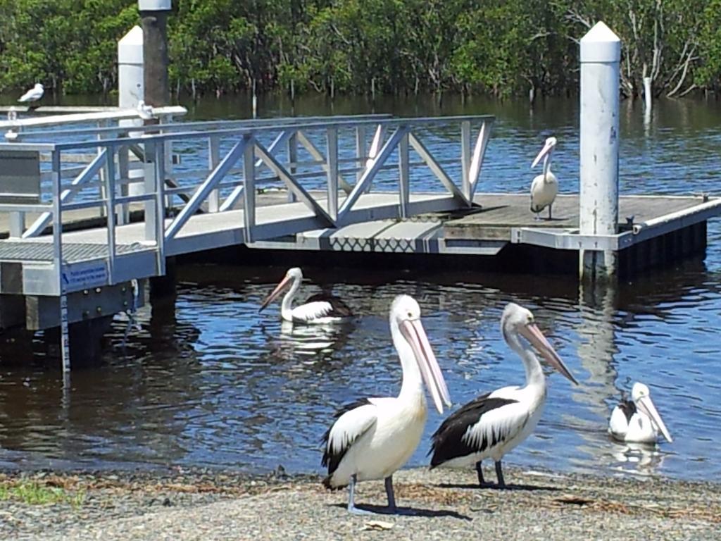 Manning Point Harrington Village Motel المظهر الخارجي الصورة