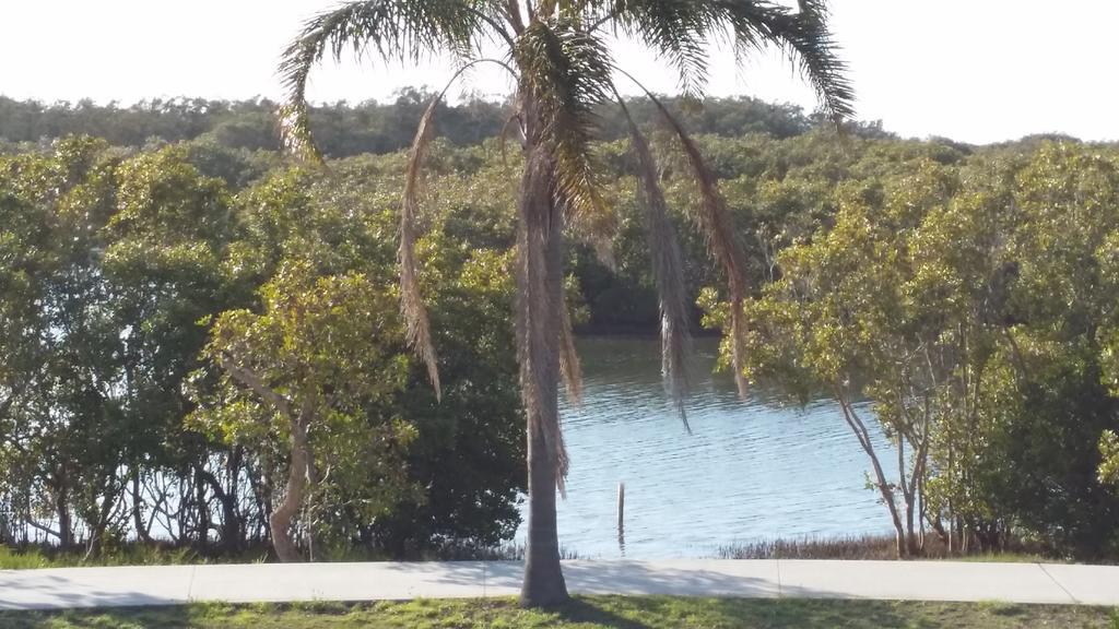 Manning Point Harrington Village Motel الغرفة الصورة